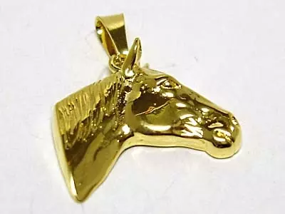 Hästhuvud 18K 180301H 