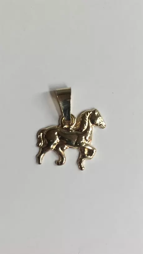 Häst 18K 180021H