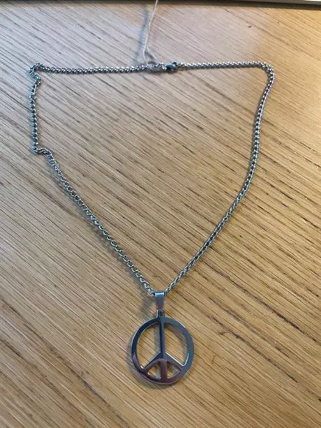 Stålhalsband SN168