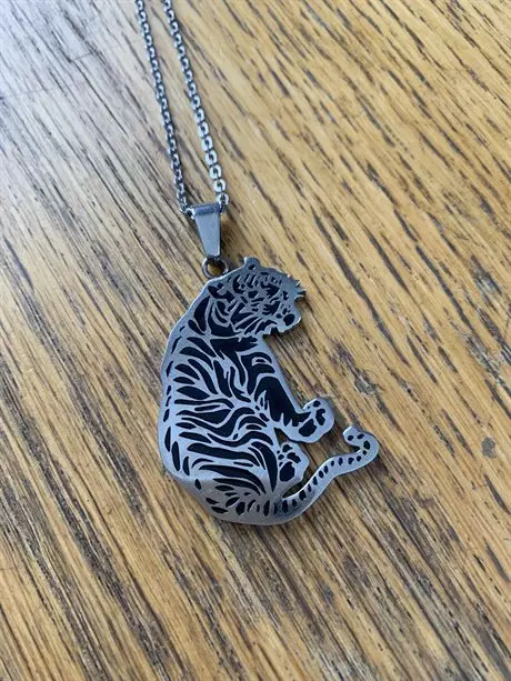 Stålhalsband STHD55