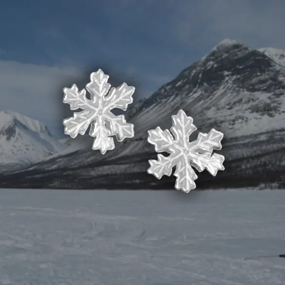 Snöstjärna örhänge