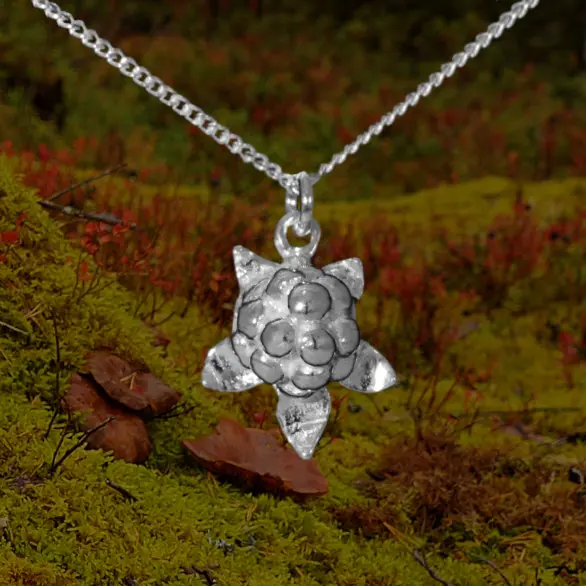 Hjortron halssmycke