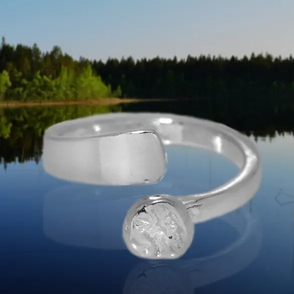 Biellne Ring