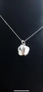 Kokong silver 9251822H