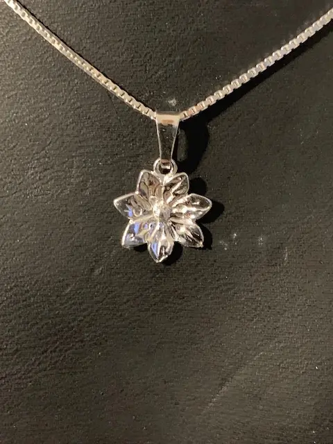 Skogsstjärna hänge mellan 925