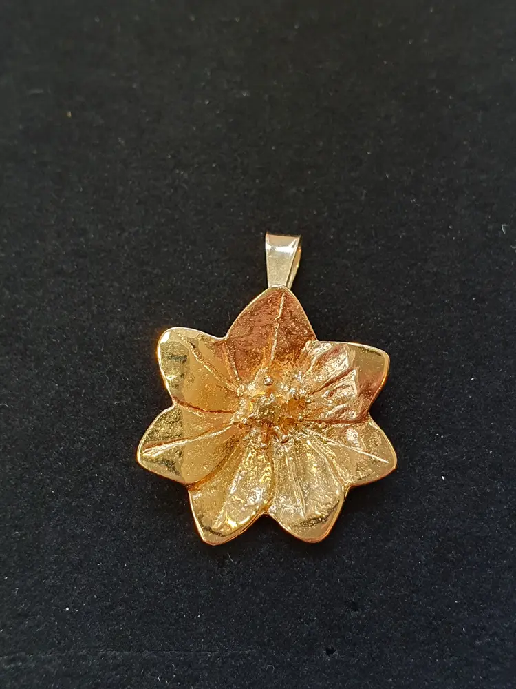 Skogsstjärna hänge/brosch stor 18K 