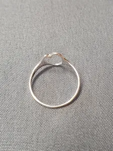 Silverring 9250312R