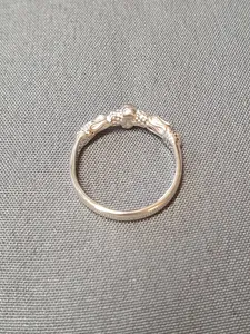 Silverring 9250264R