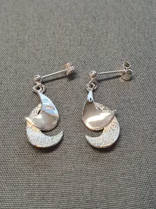 Silver örhängen 9250437E