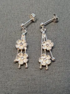 Silver örhängen 9250230E