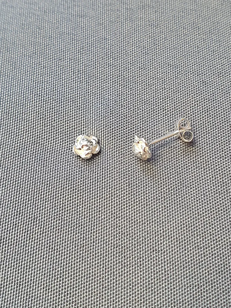 Silver örhänge 9250624E