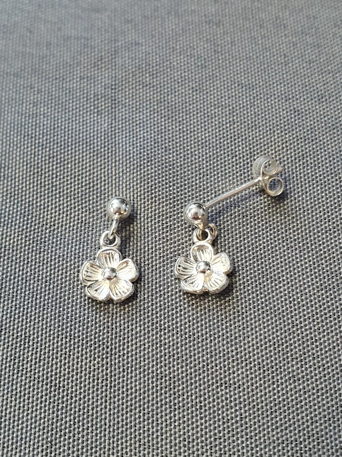 Silver örhängen 9250120E