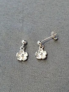 Silver örhängen 9250120E