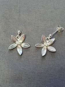 Silver örhängen 9250715E