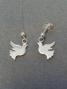 Silver örhängen 9251050E