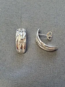 Silver örhängen 9250743E