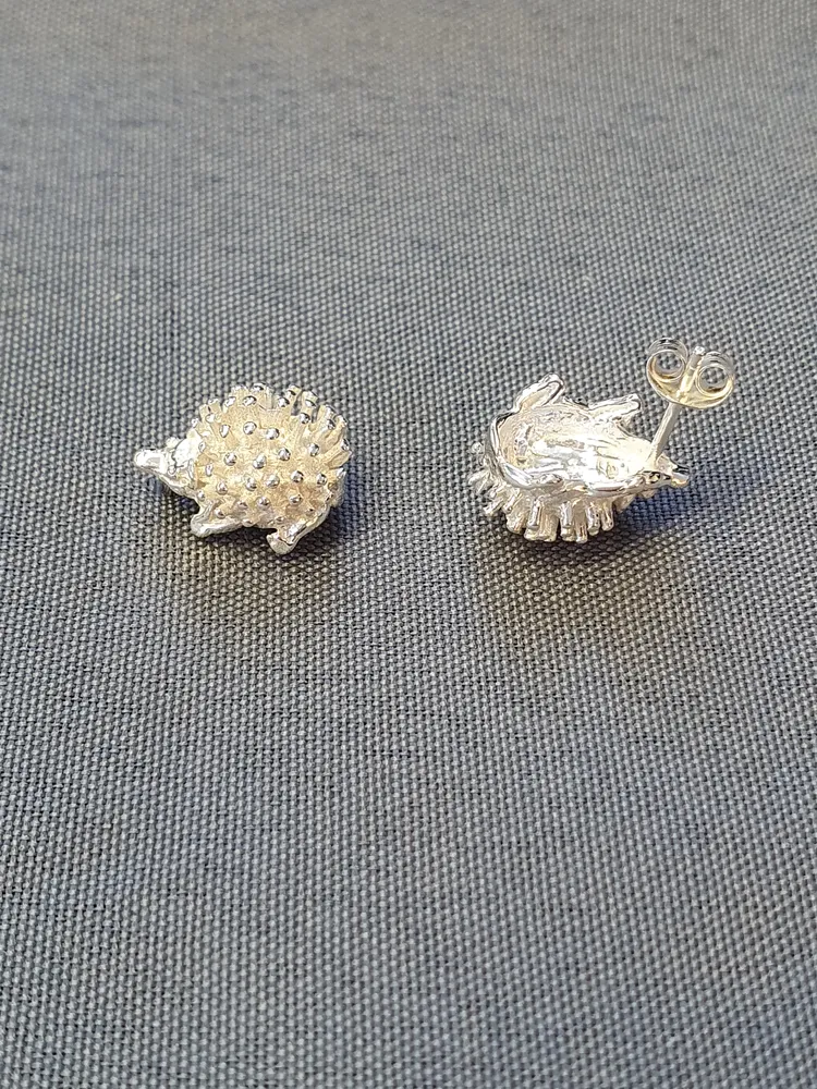 Silver örhängen 9250111EF