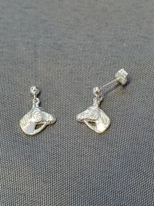 Silver örhängen 9250100E