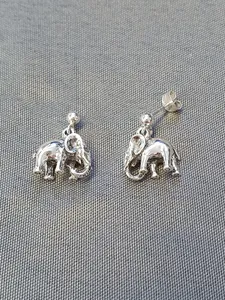 Silver örhängen 9250638E