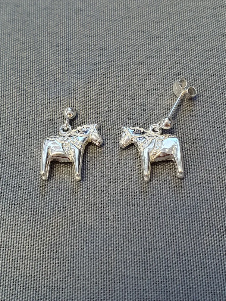 Silver örhängen 9250127EH