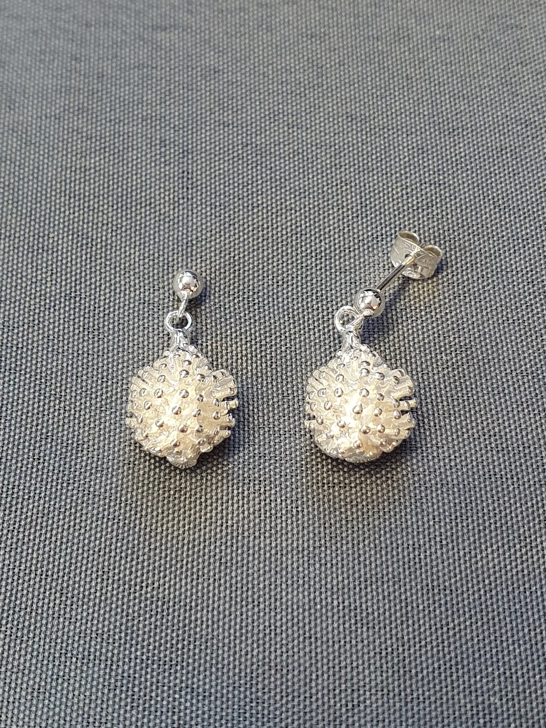 Silver örhängen 9250111EH