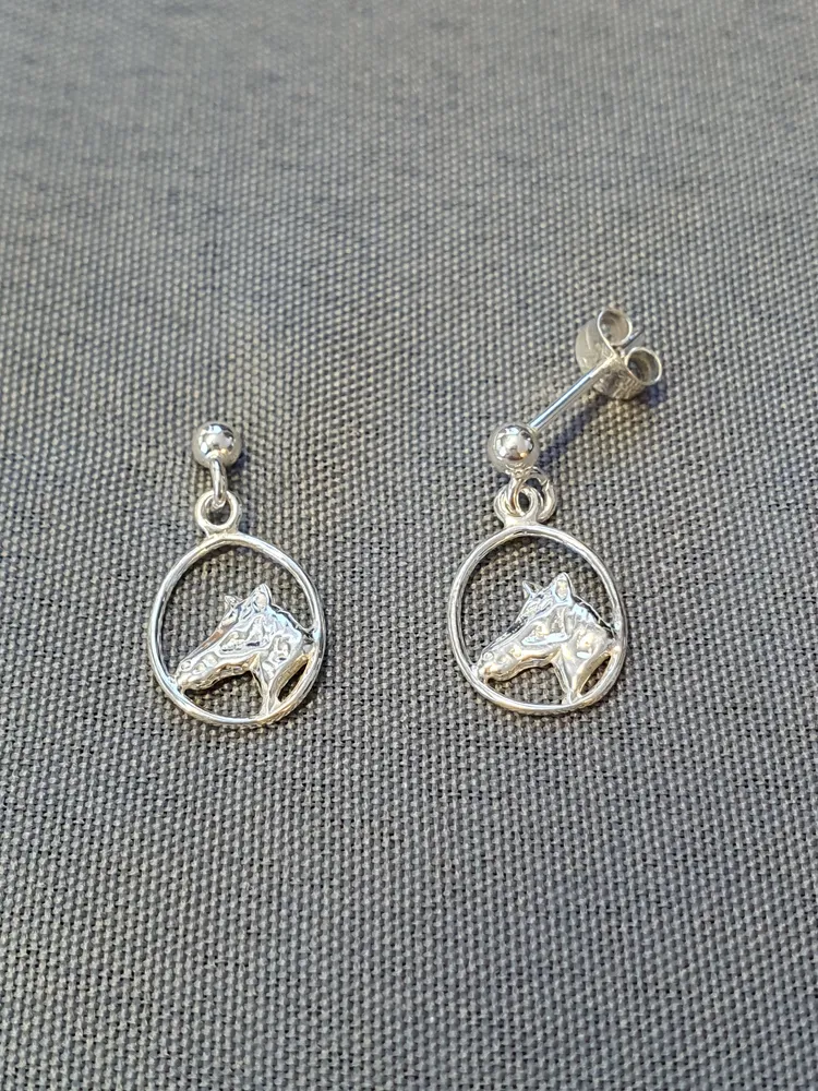 Silver örhängen 9250024E