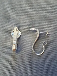 Silver örhängen 9250521E