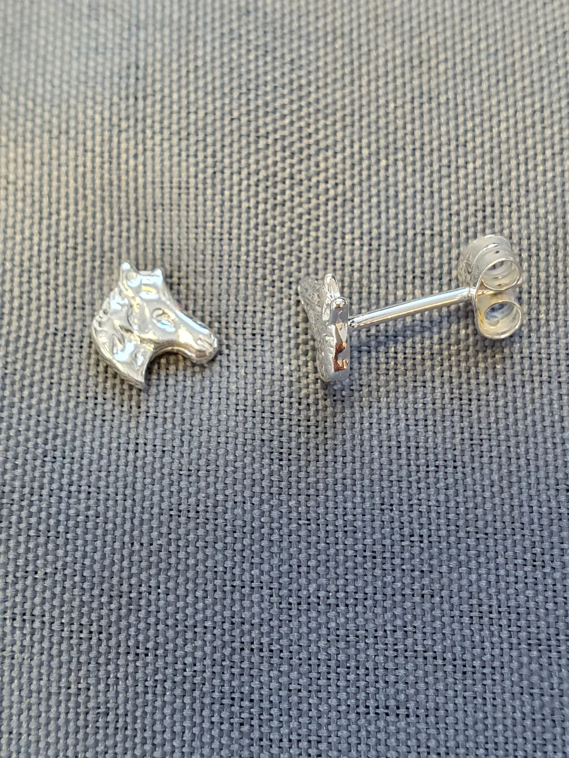 Silver örhängen 9250008E