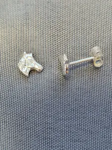 Silver örhängen 9250008E