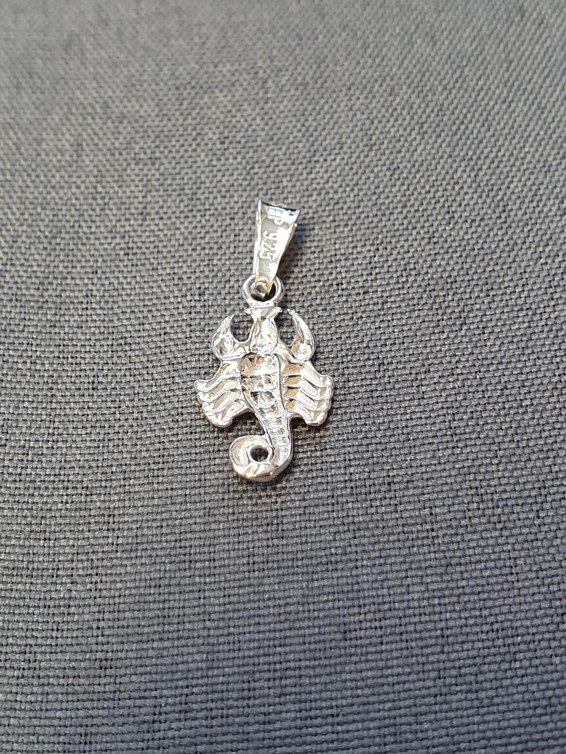 Skorpionen hängsmycke 9250166H-11