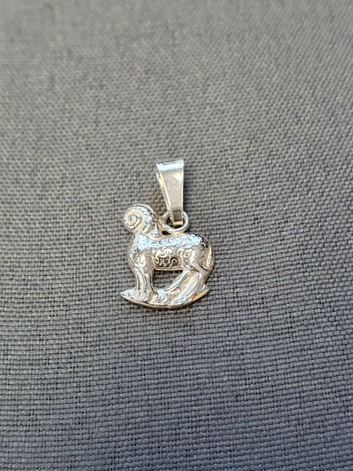 Väduren hängsmycke 9250166H-4