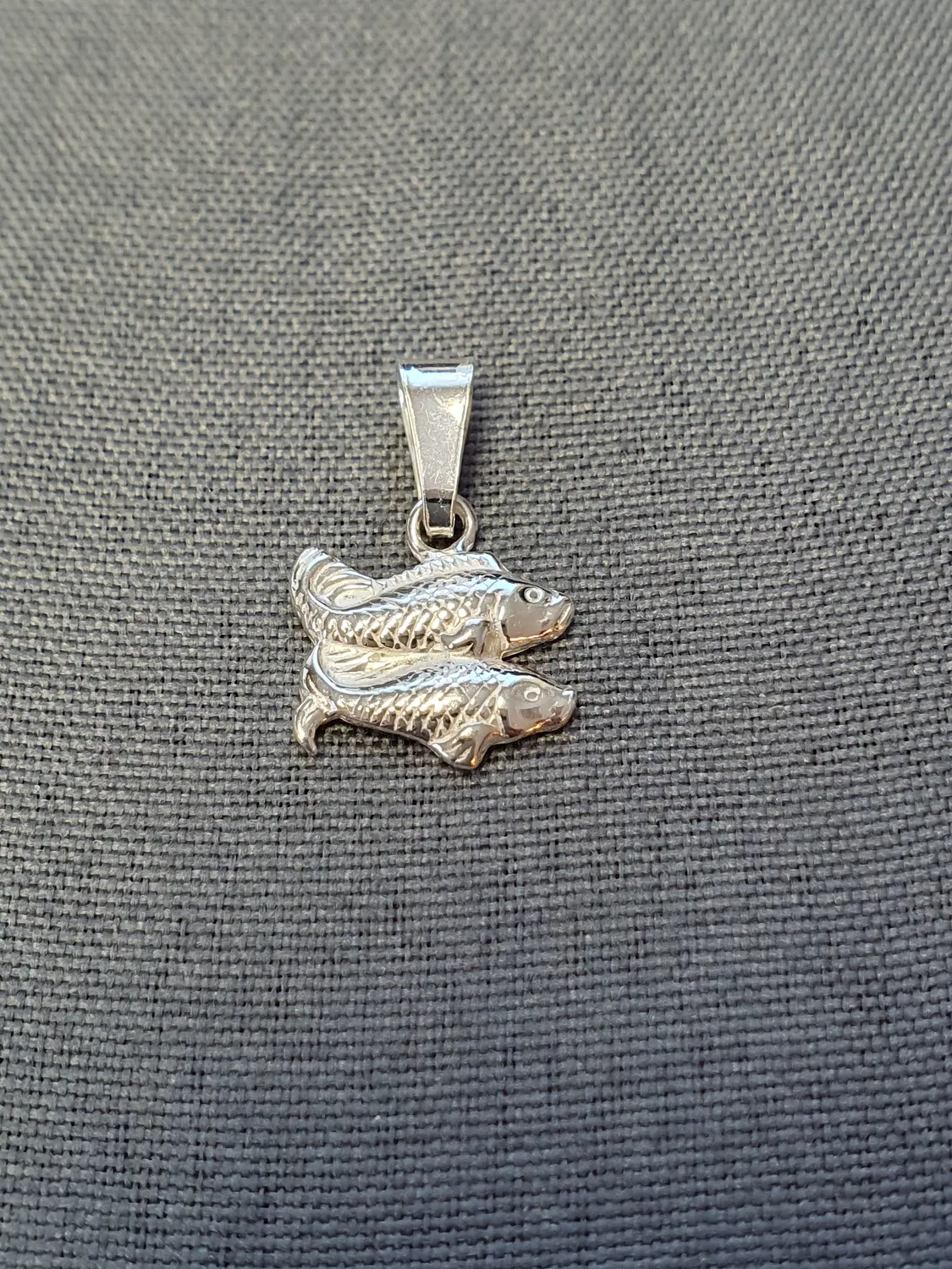 Fiskarna hängsmycke 9250166H-3