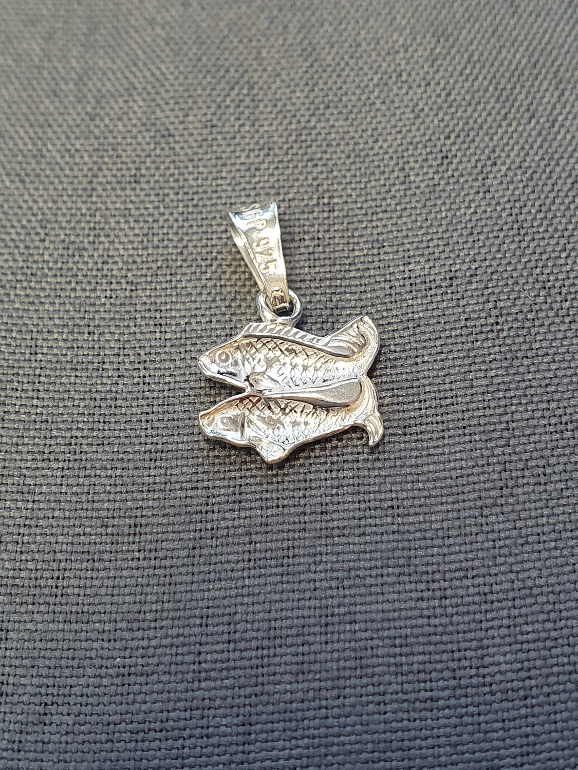 Fiskarna hängsmycke 9250166H-3