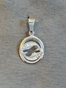 Fiskarna hängsmycke 9251317H-3