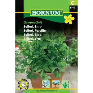 Bladselleri, Gewone Snij - OUTLET