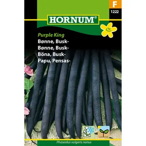 Brytböna, Purple King låg