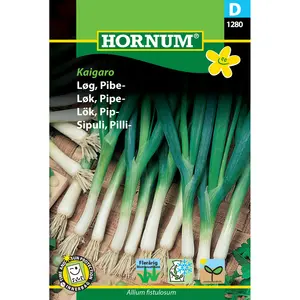 Piplök / Vårlök, Kaigaro