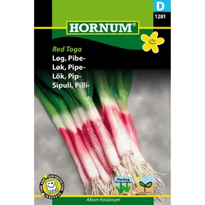 Piplök / Salladslök, Red Toga