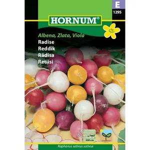 Rädisa, Albena, Zlata, Viola mix såband