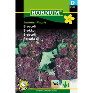 Broccoli, Summer Purple