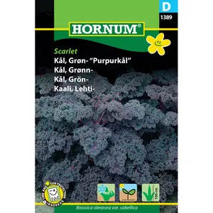 Grönkål, Scarlet