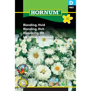 Blomsterängsblandning, Vit 4 m2