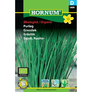 Gräslök, Polyvert Ekologisk - OUTLET