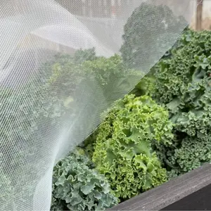Kålnät 10m2