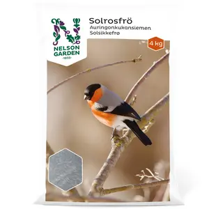 Solrosfrö 4 kg