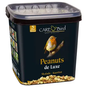 Jordnötter 5 liter, hink