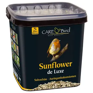 Solrosfrö skalade 5 liter, hink