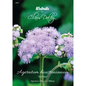 Ageratum, Tall Blue