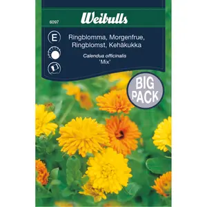 Ringblomma, mix storpåse