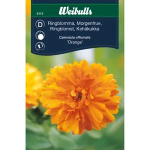 Ringblomma, Orange dubbel